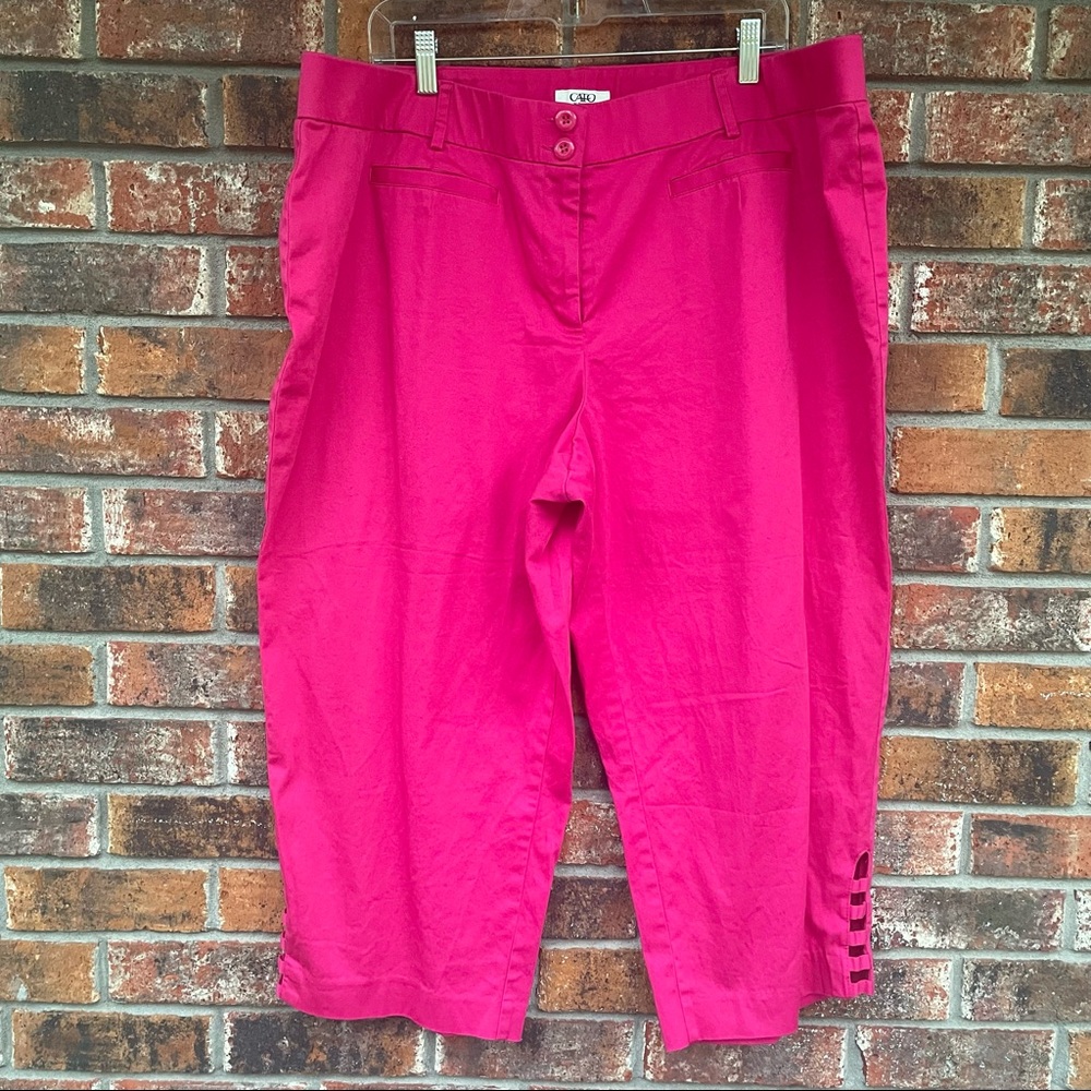 💜REPOSH💜 Hot Pink Cato Plus Size Capris